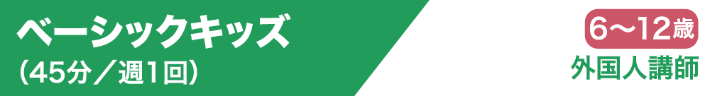 ベーシックキッズ(45分/週1回)6歳~12歳 外国人講師