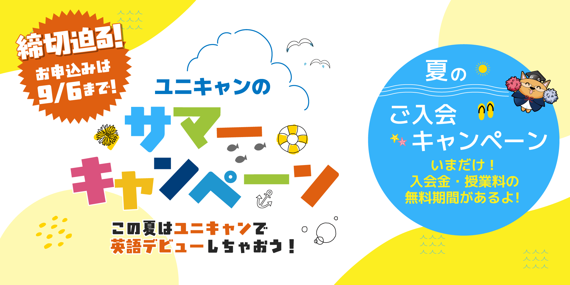 夏のご入会キャンペーン実施中