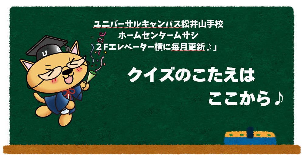 英語クイズに挑戦⭐